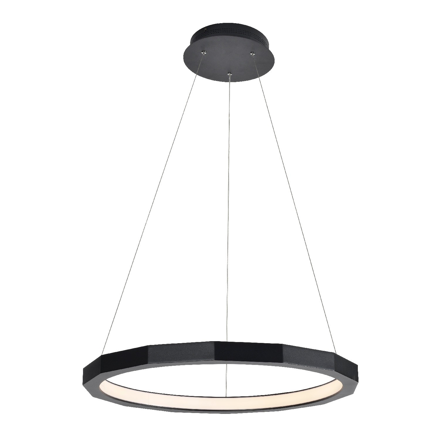 Потолочный светодиодный светильник G51248/1BK Gerhort